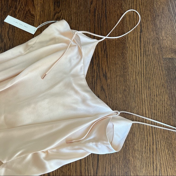 NWT Are You Am I Kaede silk camisole in Blush - Picture 12 of 16